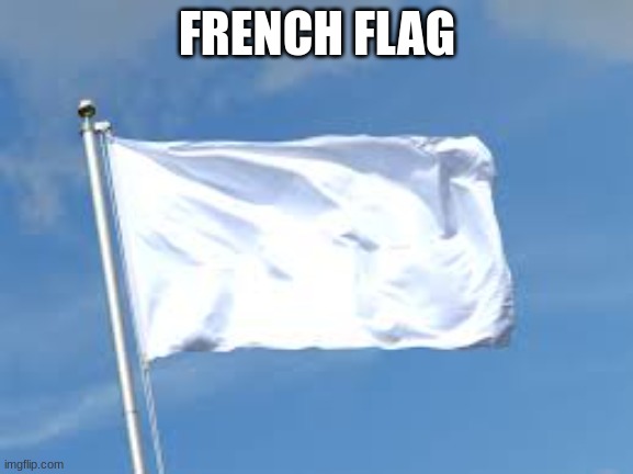 French flag | FRENCH FLAG | image tagged in surrender,france | made w/ Imgflip meme maker