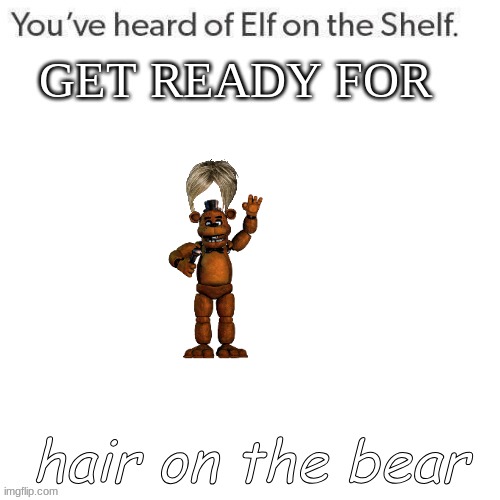 BEAR WITH HAIR | hair on the bear | image tagged in youve heard of elf on the shelf get ready for | made w/ Imgflip meme maker