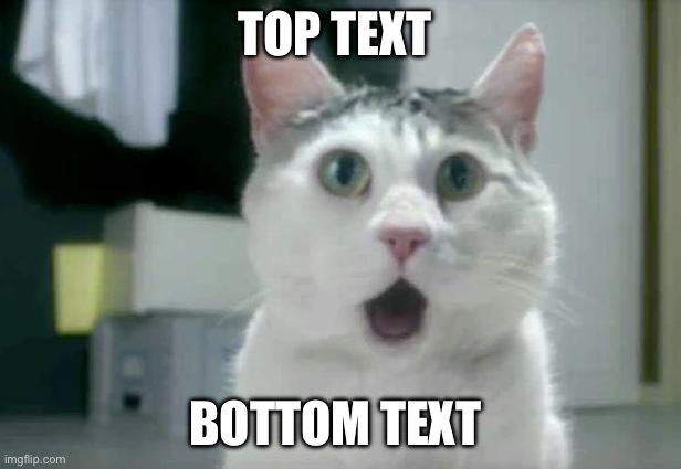 OMG Cat Meme | TOP TEXT; BOTTOM TEXT | image tagged in memes,omg cat | made w/ Imgflip meme maker