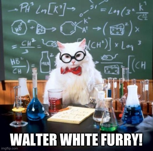 Walter | WALTER WHITE FURRY! | image tagged in memes,chemistry cat | made w/ Imgflip meme maker