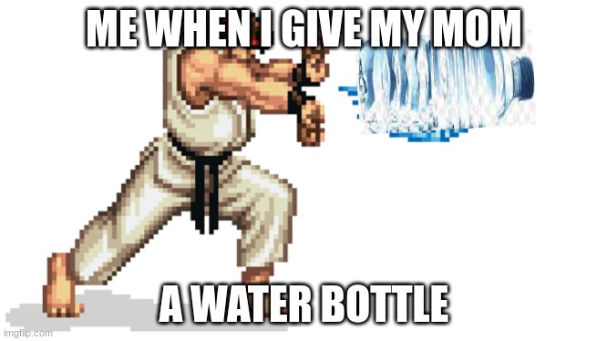 Maybe it's just me | ME WHEN I GIVE MY MOM; A WATER BOTTLE | image tagged in ryu street fighter | made w/ Imgflip meme maker