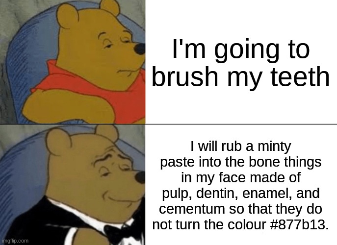 ] | I'm going to brush my teeth; I will rub a minty paste into the bone things in my face made of pulp, dentin, enamel, and cementum so that they do not turn the colour #877b13. | image tagged in memes,tuxedo winnie the pooh | made w/ Imgflip meme maker