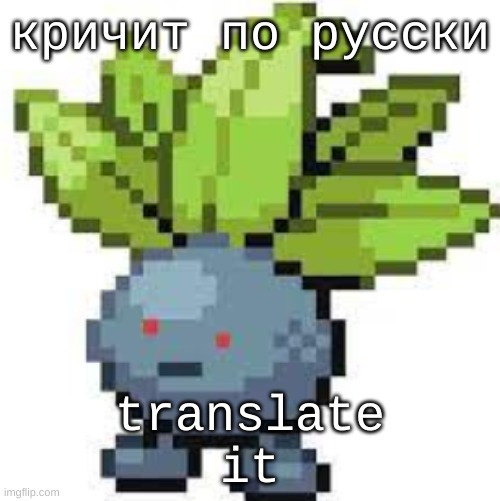 кричит по русски | кричит по русски; translate it | image tagged in oddish straight face | made w/ Imgflip meme maker