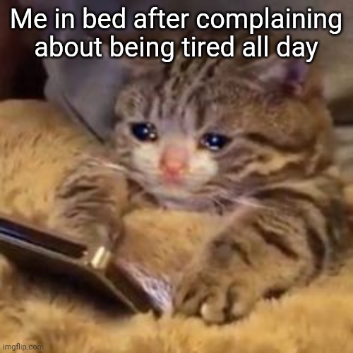 True story | Me in bed after complaining about being tired all day | image tagged in phone,sleep,tired | made w/ Imgflip meme maker