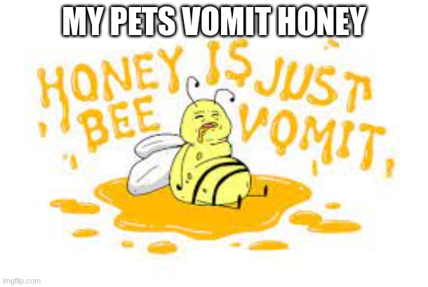 honey | MY PETS VOMIT HONEY | image tagged in pets | made w/ Imgflip meme maker