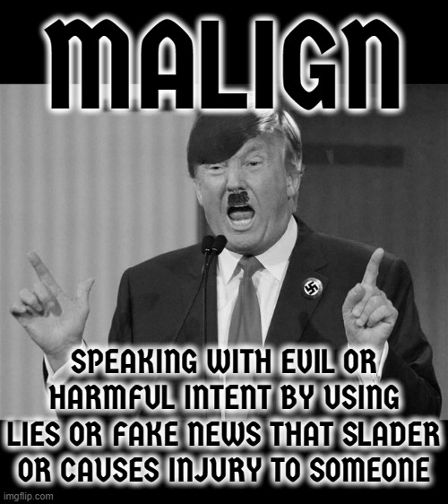 M A L I G N | MALIGN; SPEAKING WITH EVIL OR HARMFUL INTENT BY USING LIES OR FAKE NEWS THAT SLADER OR CAUSES INJURY TO SOMEONE | image tagged in malign,spiteful,evil,fake news,hate speech,slander | made w/ Imgflip meme maker