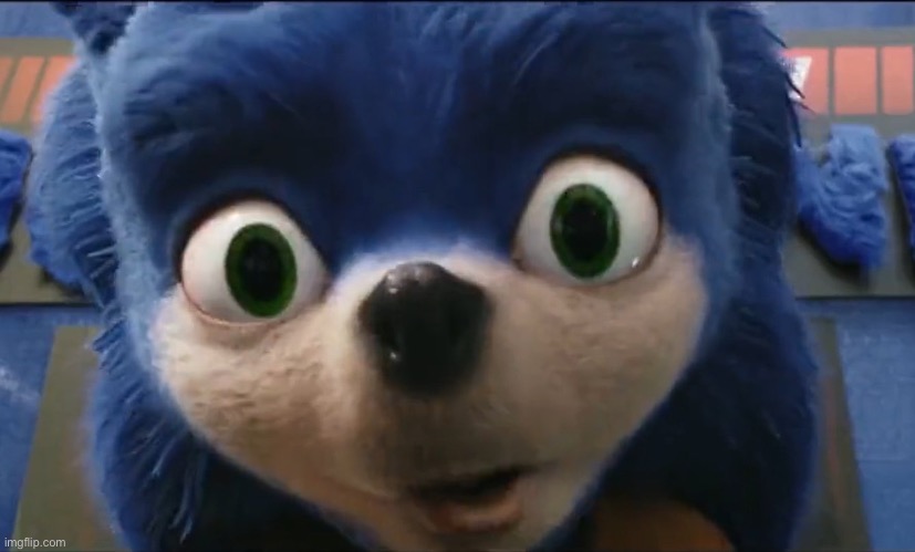 Surprised Ugly Sonic | image tagged in surprised ugly sonic | made w/ Imgflip meme maker