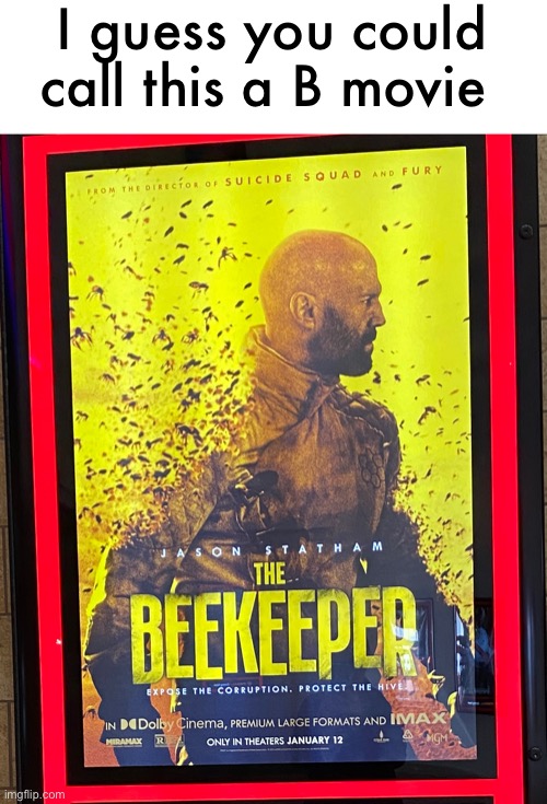 sounds like a real thriller | I guess you could call this a B movie | image tagged in funny,b movie,beekeeper,movie posted | made w/ Imgflip meme maker