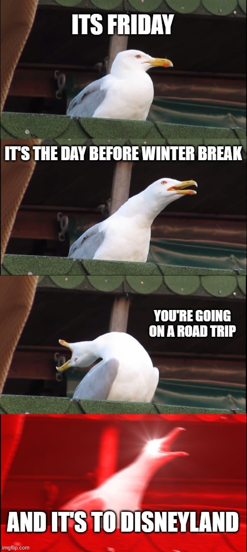 Perfect Winter Break be like: | ITS FRIDAY; IT'S THE DAY BEFORE WINTER BREAK; YOU'RE GOING ON A ROAD TRIP; AND IT'S TO DISNEYLAND | image tagged in memes,inhaling seagull | made w/ Imgflip meme maker