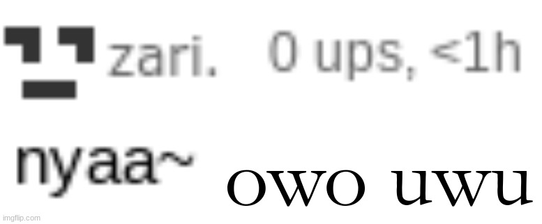 zari nyaa | owo uwu | image tagged in zari nyaa | made w/ Imgflip meme maker