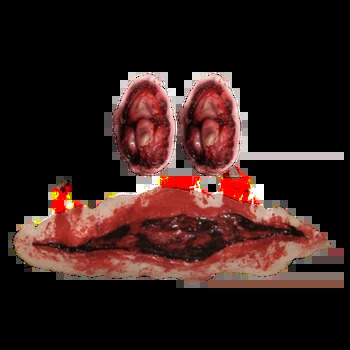 A-60 Fourth Face (gore warning) Blank Meme Template