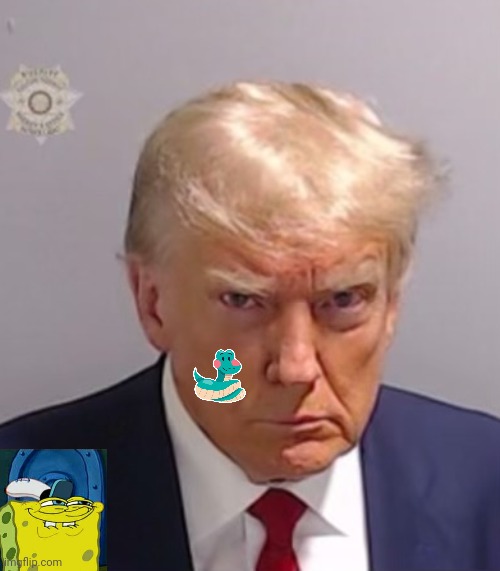 Donald Trump Mugshot | image tagged in donald trump mugshot | made w/ Imgflip meme maker