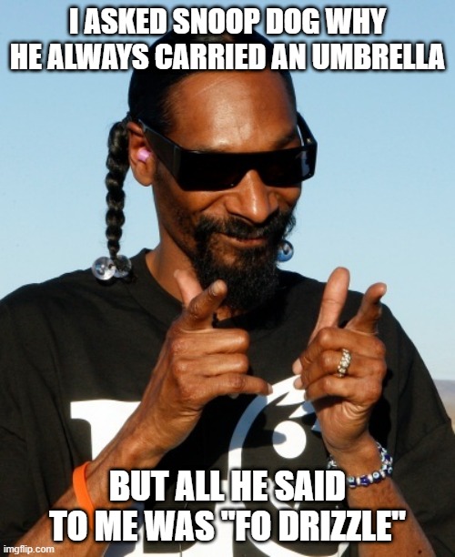 Snoop Umbrella | I ASKED SNOOP DOG WHY HE ALWAYS CARRIED AN UMBRELLA; BUT ALL HE SAID TO ME WAS "FO DRIZZLE" | image tagged in snoop dogg approves | made w/ Imgflip meme maker