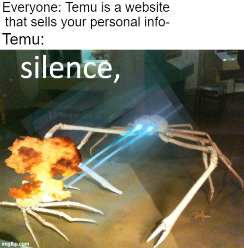 DONT GO ON TEMU! IT SELLS YOUR PERSONAL INFORMATION LIKE YOUR CREDIT CARD | Everyone: Temu is a website that sells your personal info-; Temu: | image tagged in silence crab | made w/ Imgflip meme maker