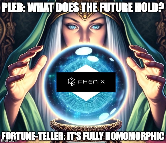 Fhenix meme | PLEB: WHAT DOES THE FUTURE HOLD? FORTUNE-TELLER: IT'S FULLY HOMOMORPHIC | image tagged in crypto | made w/ Imgflip meme maker