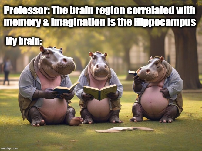 Was Hippocrates a hypocrite? | Professor: The brain region correlated with 
memory & imagination is the Hippocampus; My brain: | image tagged in college,hippo,biology,brain,big brain | made w/ Imgflip meme maker