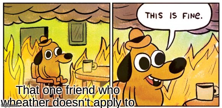 Fire | That one friend who wheather doesn't apply to | image tagged in memes,this is fine | made w/ Imgflip meme maker