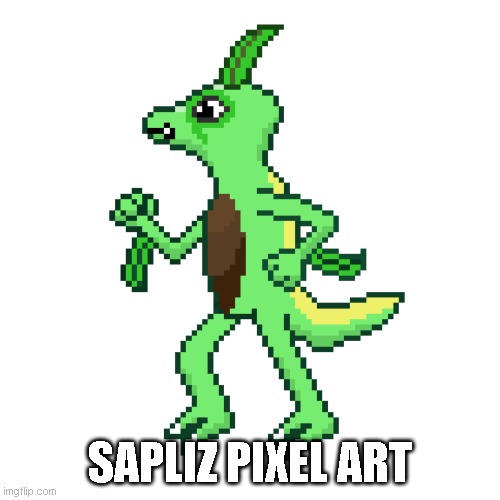 SAPLIZ PIXEL ART | made w/ Imgflip meme maker