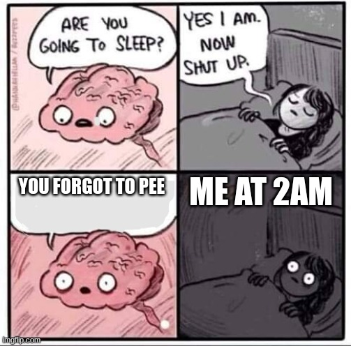 Are you going to sleep? | ME AT 2AM; YOU FORGOT TO PEE | image tagged in are you going to sleep | made w/ Imgflip meme maker