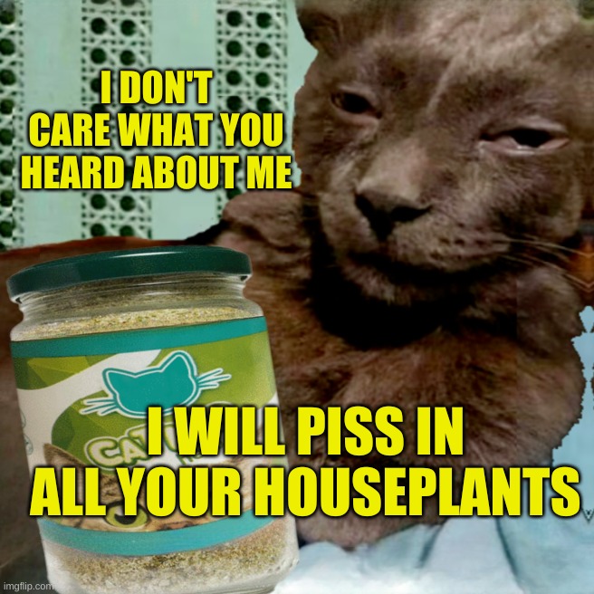 Shit Poster 4 Lyfe | I DON'T CARE WHAT YOU HEARD ABOUT ME; I WILL PISS IN ALL YOUR HOUSEPLANTS | image tagged in ship osta 4 lyfe,piss,houseplans,gossip,just because,pet me | made w/ Imgflip meme maker