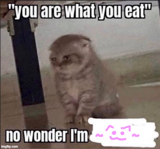 you are what you eat | image tagged in you are what you eat | made w/ Imgflip meme maker
