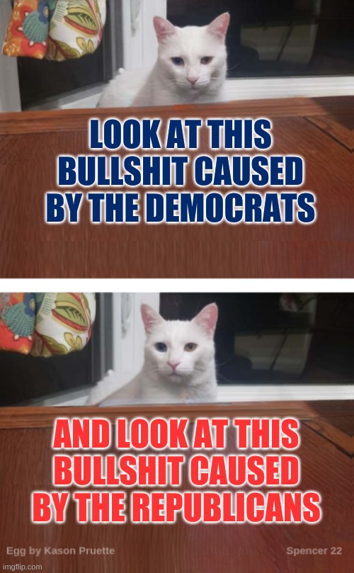Uniparty Smack | LOOK AT THIS BULLSHIT CAUSED BY THE DEMOCRATS; AND LOOK AT THIS BULLSHIT CAUSED BY THE REPUBLICANS | image tagged in egg the cat 2,politics,you've been invited to dumbass university,democrats,republicans,criminals | made w/ Imgflip meme maker