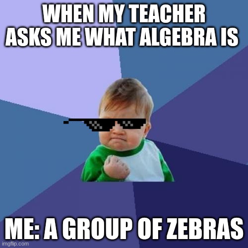 All zebras, or All Gebras | WHEN MY TEACHER ASKS ME WHAT ALGEBRA IS; ME: A GROUP OF ZEBRAS | image tagged in memes,success kid | made w/ Imgflip meme maker