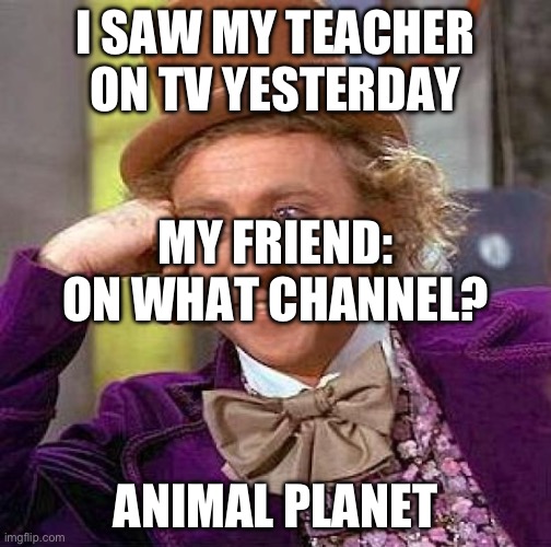 Creepy Condescending Wonka | I SAW MY TEACHER ON TV YESTERDAY; MY FRIEND: ON WHAT CHANNEL? ANIMAL PLANET | image tagged in memes,creepy condescending wonka | made w/ Imgflip meme maker