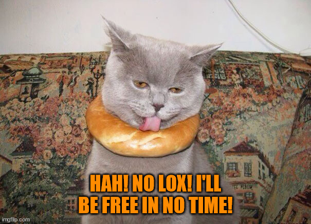 No lox! | HAH! NO LOX! I'LL BE FREE IN NO TIME! | image tagged in bagel,cat,funny cats | made w/ Imgflip meme maker