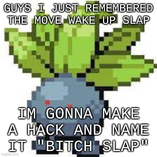 *BITCH SLAPS YOUR POKEMON* | GUYS I JUST REMEMBERED THE MOVE WAKE UP SLAP; IM GONNA MAKE A HACK AND NAME IT "BITCH SLAP" | image tagged in oddish straight face | made w/ Imgflip meme maker