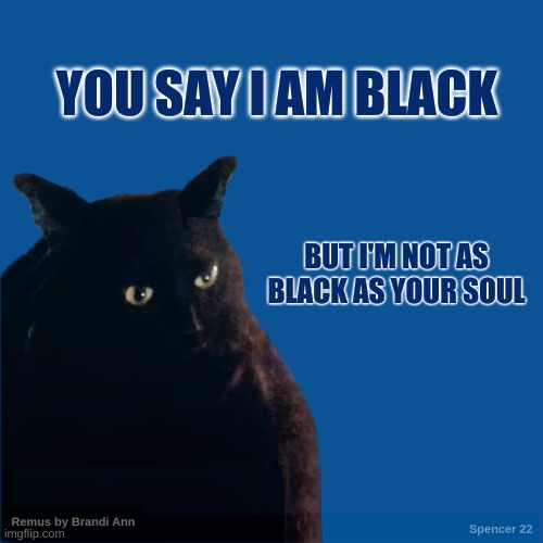 Contemplate Cat | YOU SAY I AM BLACK; BUT I'M NOT AS BLACK AS YOUR SOUL | image tagged in contemplate cat,black,cat,dark souls,evil,you underestimate my power | made w/ Imgflip meme maker