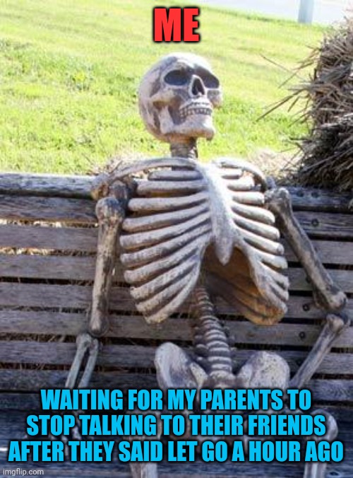 Waiting Skeleton | ME; WAITING FOR MY PARENTS TO STOP TALKING TO THEIR FRIENDS AFTER THEY SAID LET GO A HOUR AGO | image tagged in memes,waiting skeleton | made w/ Imgflip meme maker