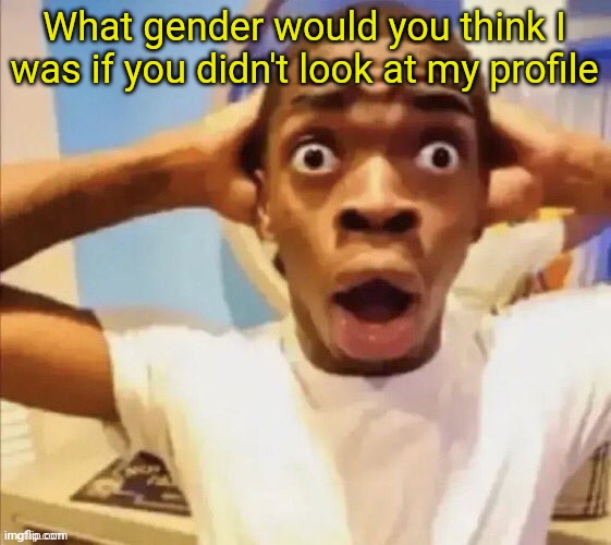 in shock | What gender would you think I was if you didn't look at my profile | image tagged in in shock | made w/ Imgflip meme maker