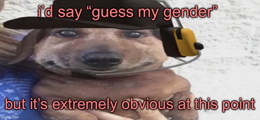 i mean you CAN guess if you really don’t know | i’d say “guess my gender”; but it’s extremely obvious at this point | image tagged in chucklenuts | made w/ Imgflip meme maker