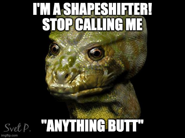 reptilian shapeshifter guy | I'M A SHAPESHIFTER! STOP CALLING ME; "ANYTHING BUTT" | image tagged in reptilian shapeshifter guy | made w/ Imgflip meme maker