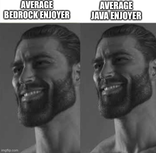 maybe we're all chads | AVERAGE BEDROCK ENJOYER; AVERAGE JAVA ENJOYER | image tagged in fan vs enjoyer but they're both giga chad,giga chad,minecraft | made w/ Imgflip meme maker
