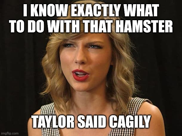 Taylor said cagily | I KNOW EXACTLY WHAT TO DO WITH THAT HAMSTER; TAYLOR SAID CAGILY | image tagged in taylor swiftie | made w/ Imgflip meme maker