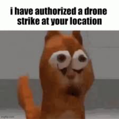 Drone | image tagged in garfield | made w/ Imgflip meme maker