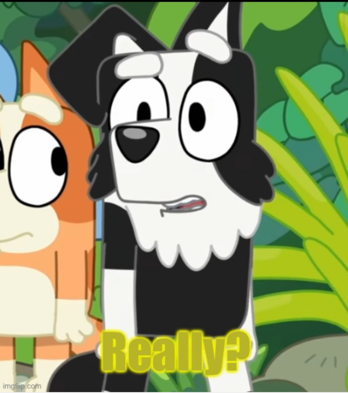 High Quality Really? Blank Meme Template