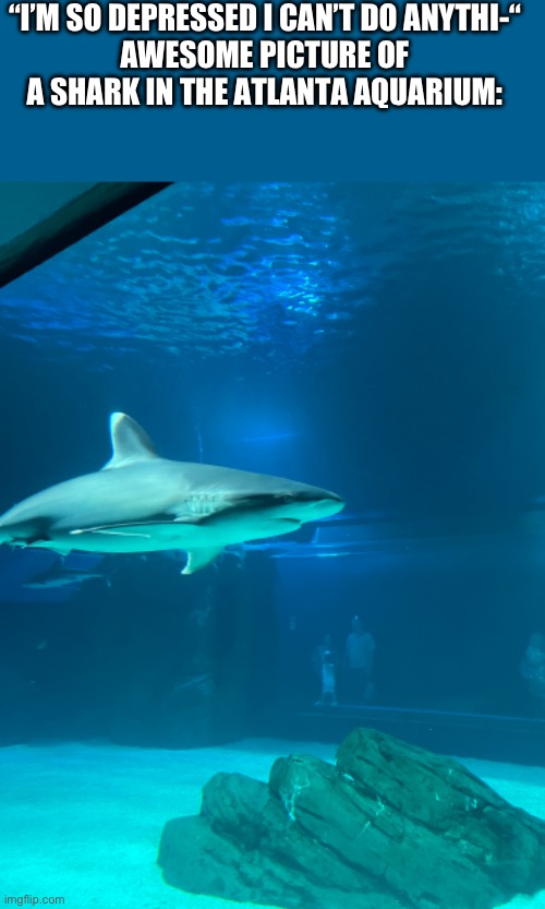 “I’M SO DEPRESSED I CAN’T DO ANYTHI-“
AWESOME PICTURE OF A SHARK IN THE ATLANTA AQUARIUM: | made w/ Imgflip meme maker