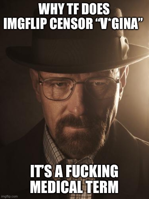 Walter White | WHY TF DOES IMGFLIP CENSOR “V*GINA”; IT’S A FUCKING MEDICAL TERM | image tagged in walter white | made w/ Imgflip meme maker