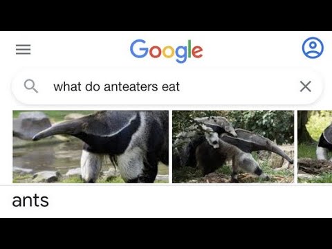 Ants Blank Meme Template