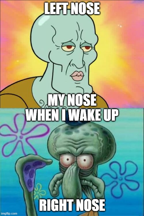 Squidward Meme | LEFT NOSE; MY NOSE WHEN I WAKE UP; RIGHT NOSE | image tagged in memes,squidward | made w/ Imgflip meme maker