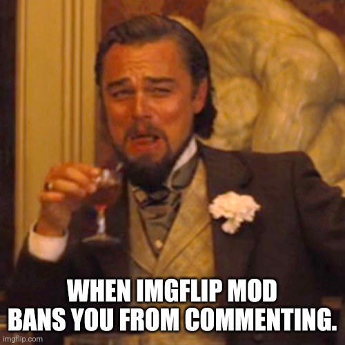Not my fault they were being a jerk. | WHEN IMGFLIP MOD BANS YOU FROM COMMENTING. | image tagged in memes,laughing leo | made w/ Imgflip meme maker
