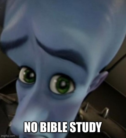 My Bible Study Leader canceled on me | NO BIBLE STUDY | image tagged in megamind no bitches | made w/ Imgflip meme maker