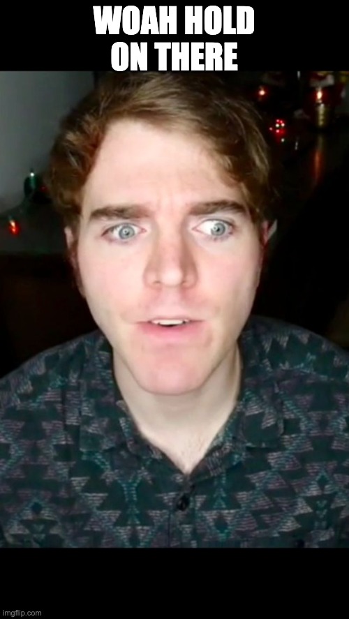 Shane Dawson Paused  | WOAH HOLD ON THERE | image tagged in shane dawson paused | made w/ Imgflip meme maker