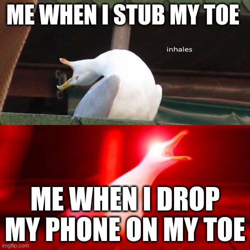 that hurts | ME WHEN I STUB MY TOE; ME WHEN I DROP MY PHONE ON MY TOE | image tagged in inhaling bird meme | made w/ Imgflip meme maker