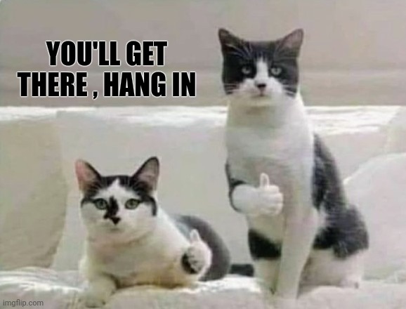 Thumbs up Cats | YOU'LL GET THERE , HANG IN | image tagged in thumbs up cats | made w/ Imgflip meme maker