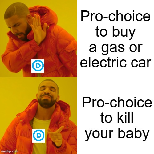 Drake Hotline Bling Meme | Pro-choice to buy a gas or electric car; Pro-choice to kill your baby | image tagged in memes,drake hotline bling | made w/ Imgflip meme maker