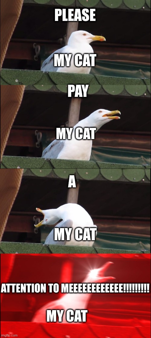 Inhaling Seagull | PLEASE; MY CAT; PAY; MY CAT; A; MY CAT; ATTENTION TO MEEEEEEEEEEEE!!!!!!!!! MY CAT | image tagged in memes,inhaling seagull | made w/ Imgflip meme maker